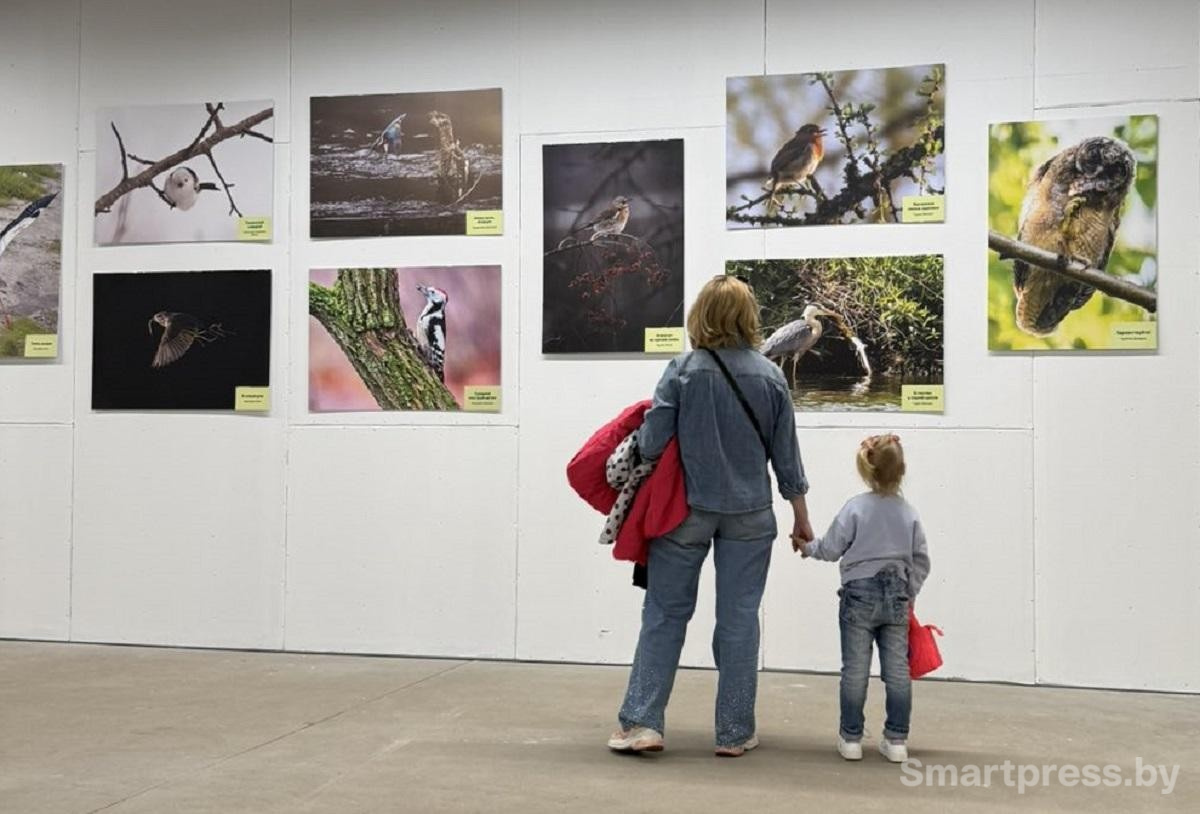 4-На фотовыставке Дикая природа Беларуси 2025.jpg
