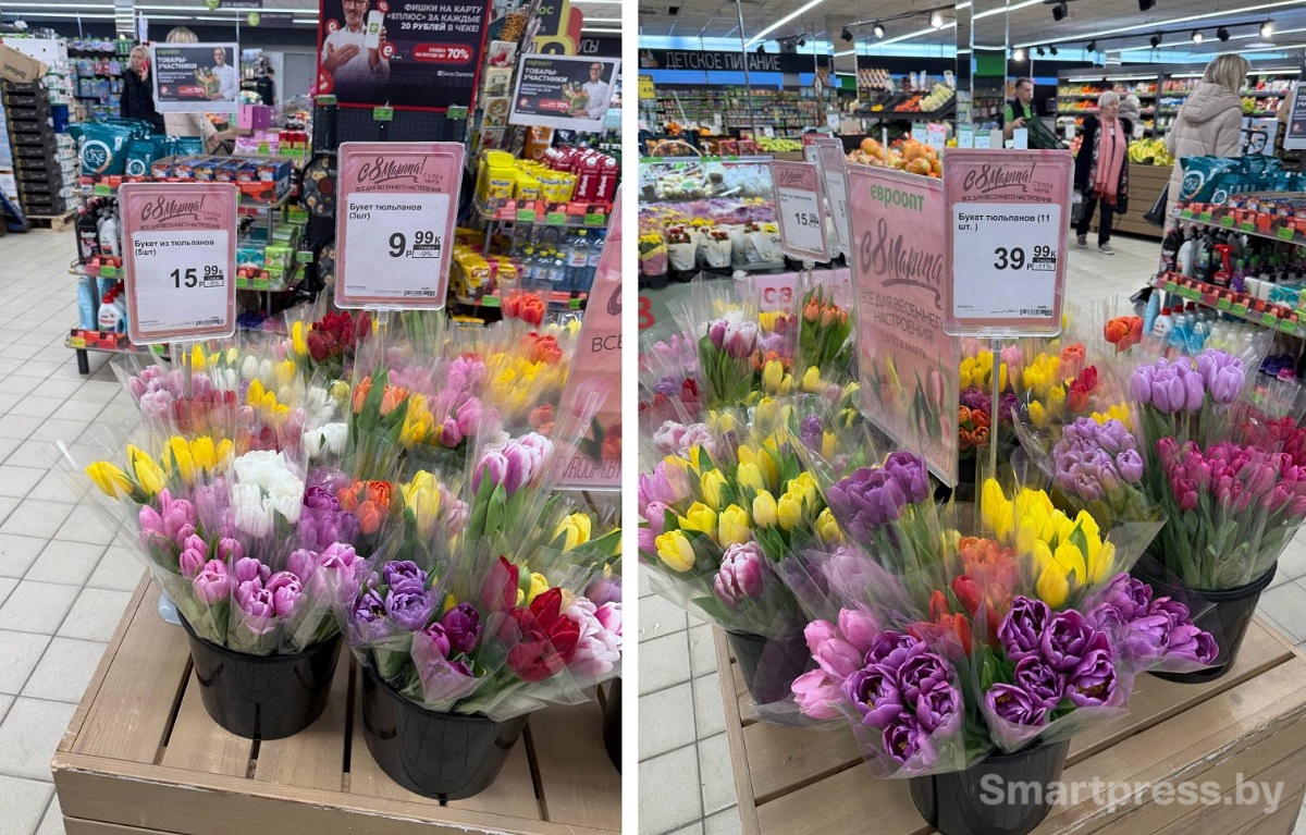 Евроопт-тюльпаны