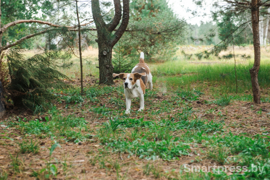 Карина_дом (15).jpg