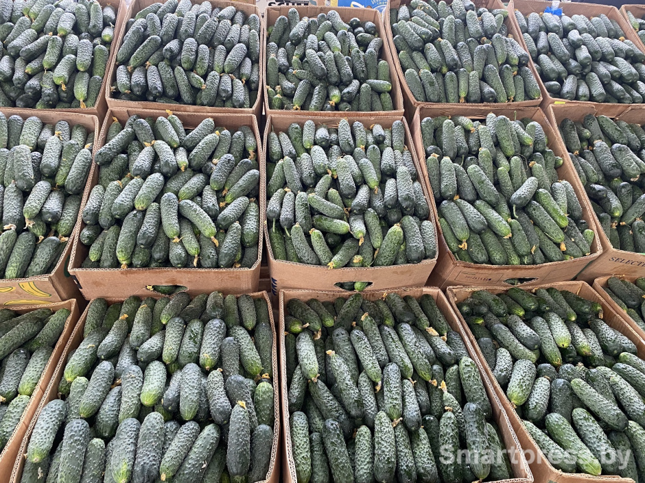 огурцы по 3,5 рэ крымские