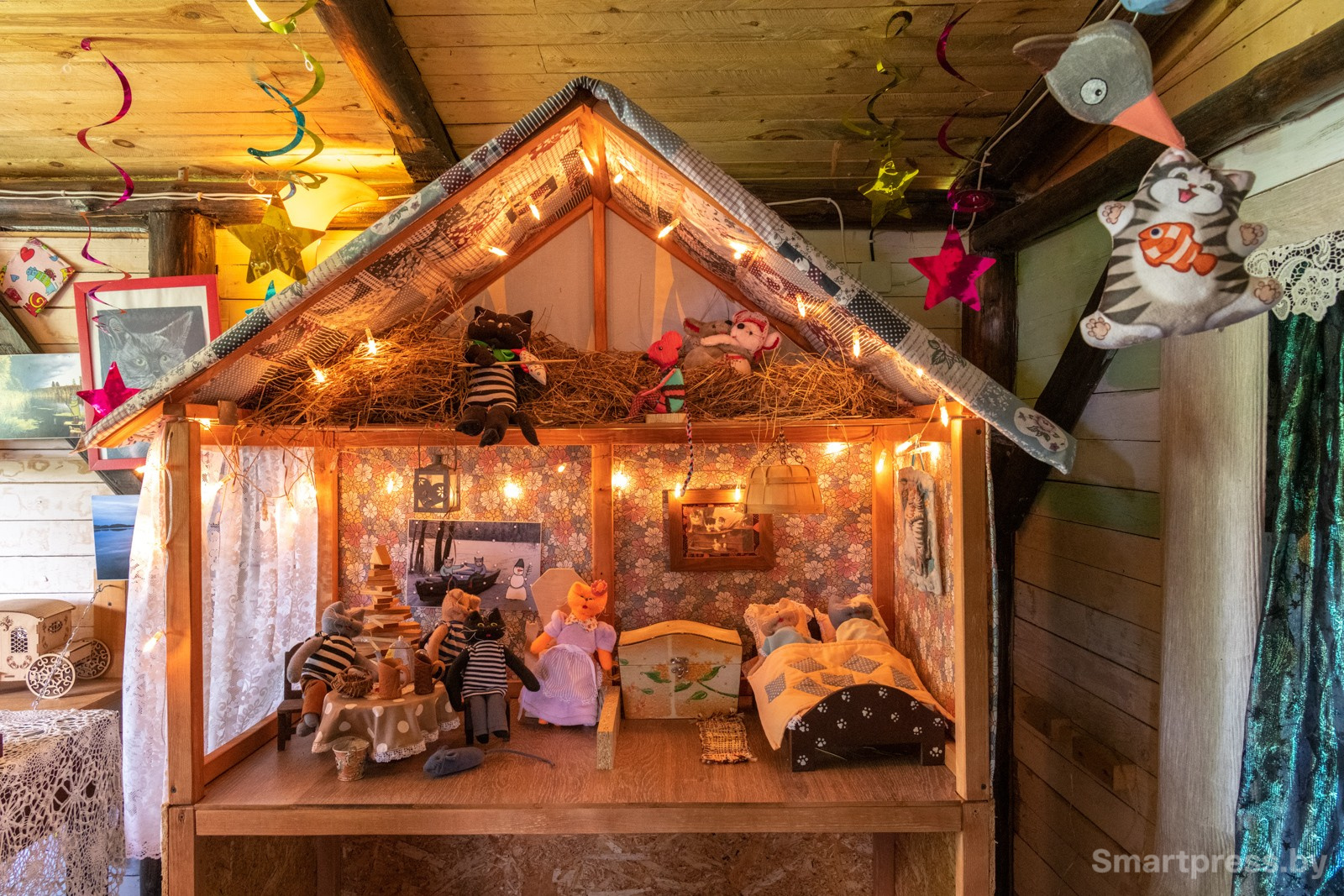 18-Шоу-музей кота в деревне Даньки.jpg