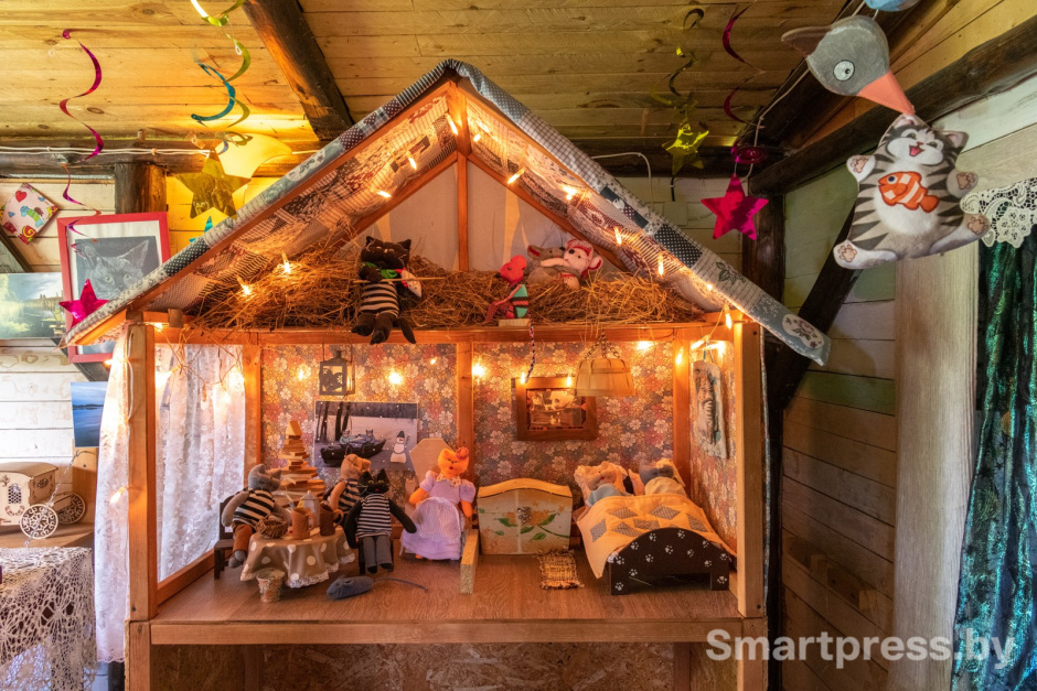 18-Шоу-музей кота в деревне Даньки.jpg