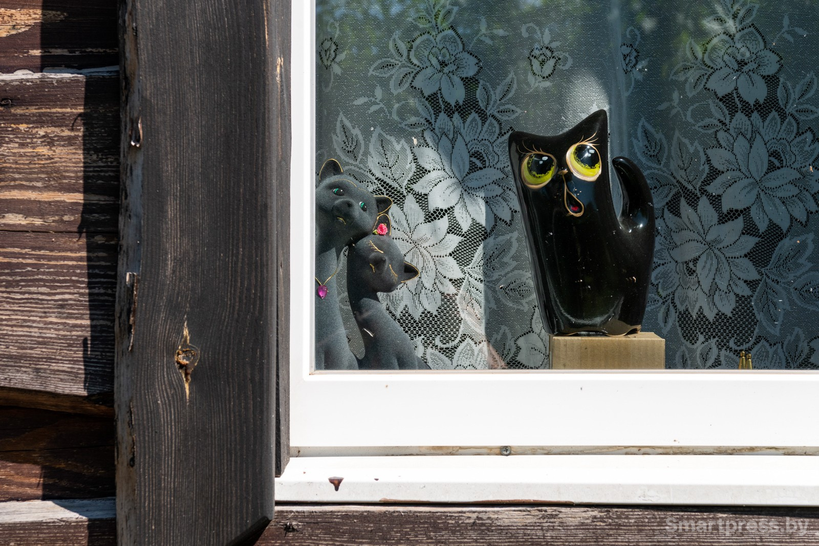 25-Музей кота в Даньках.jpg