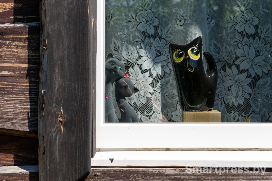 25-Музей кота в Даньках.jpg