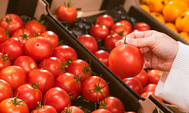Совмин Беларуси взял на контроль цены на огурцы и помидоры и сократил перечень товаров под регулированием