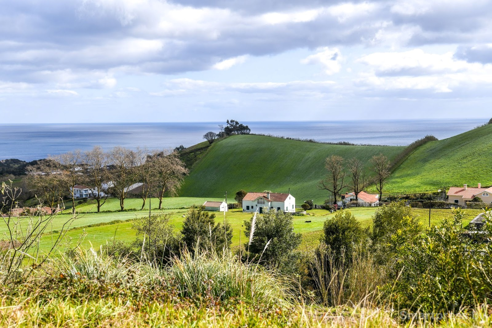 2-Остров Сан-Мигел.jpg