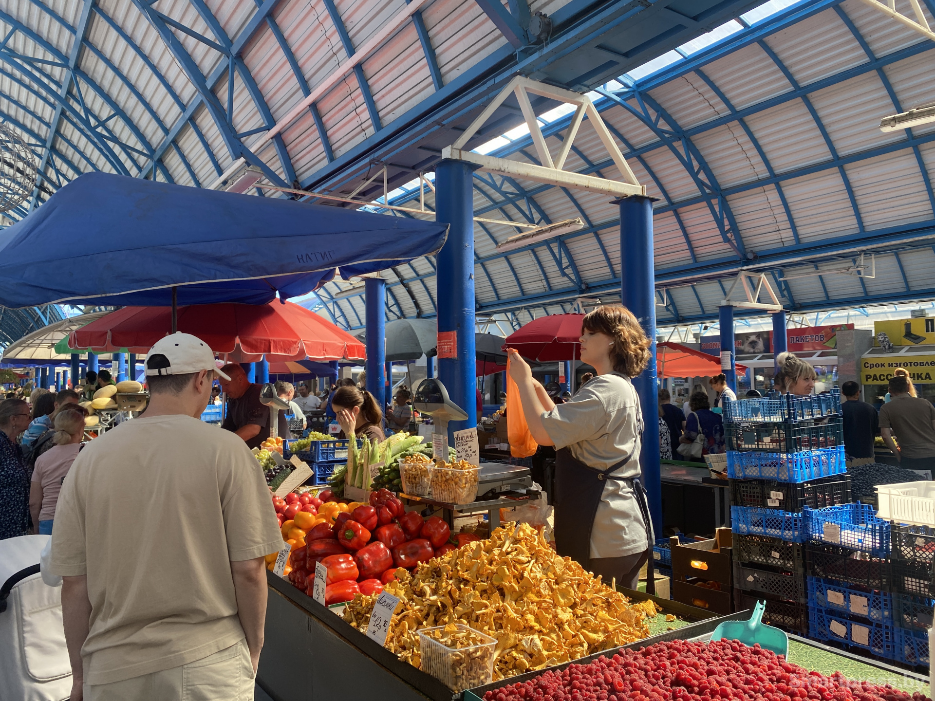 Лисички из Бреста