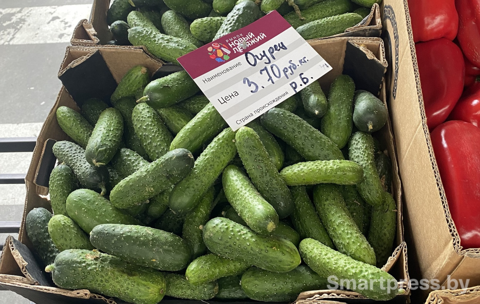 огурцы белорусские