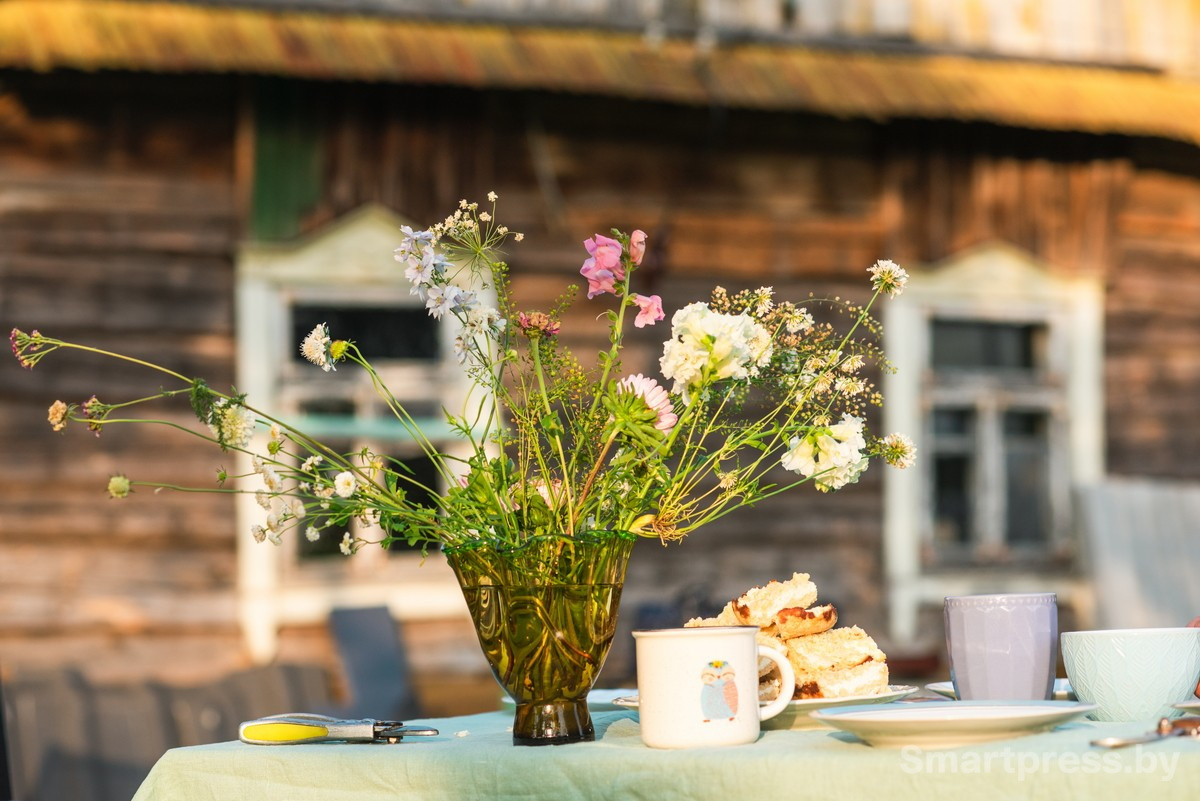 17-На участке рядом с домом в деревне.jpg