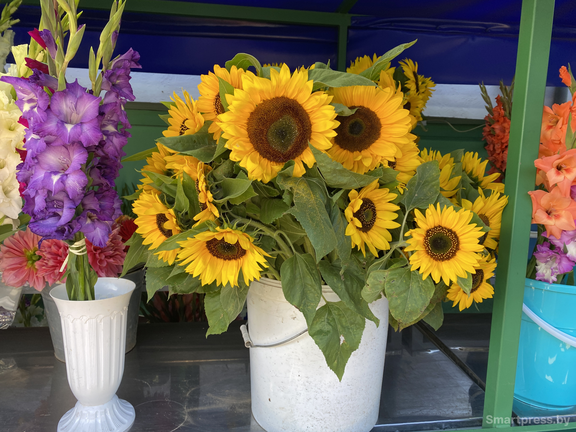 Подсолнухи в ведре