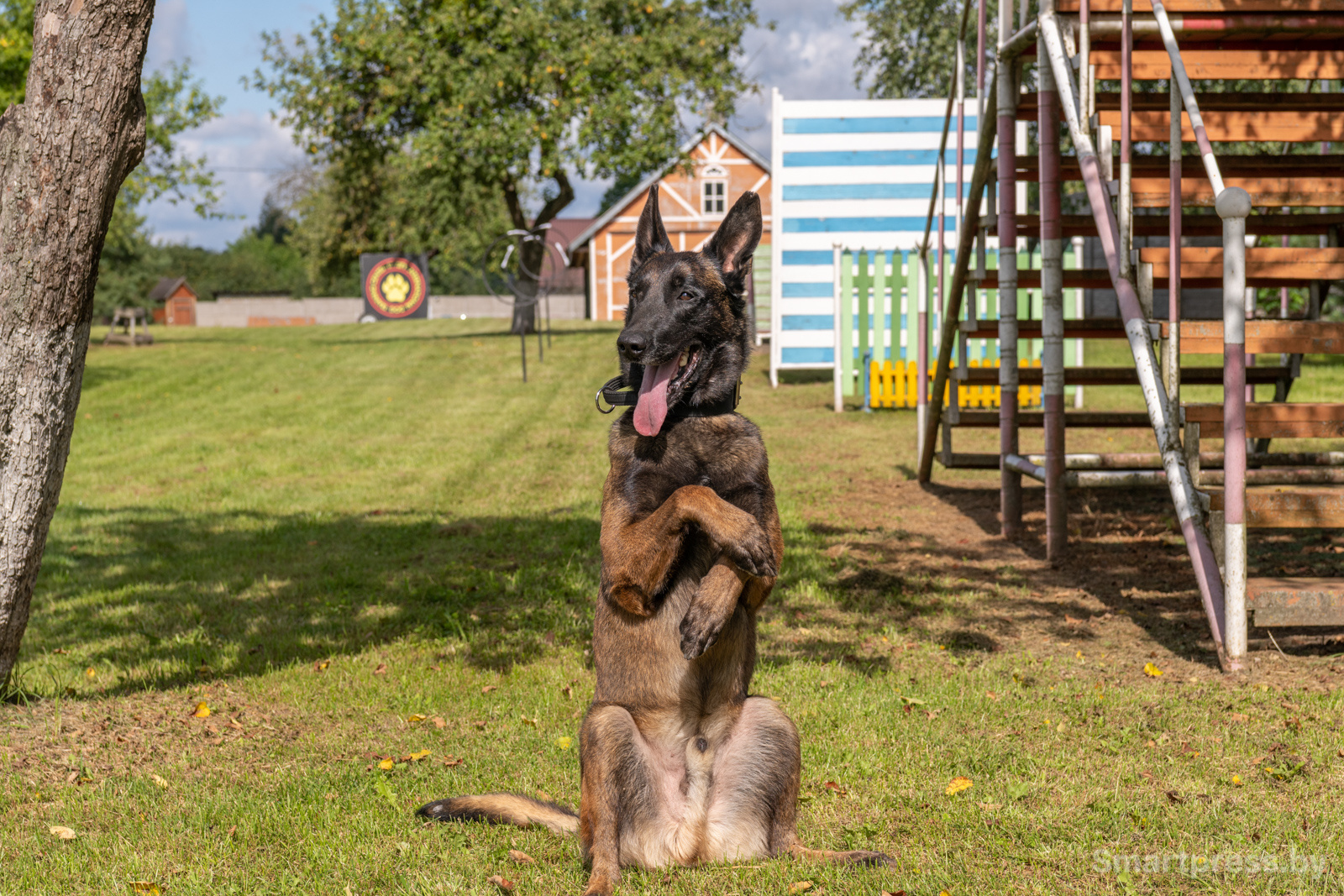 Кинологический центр "Из Кифы"