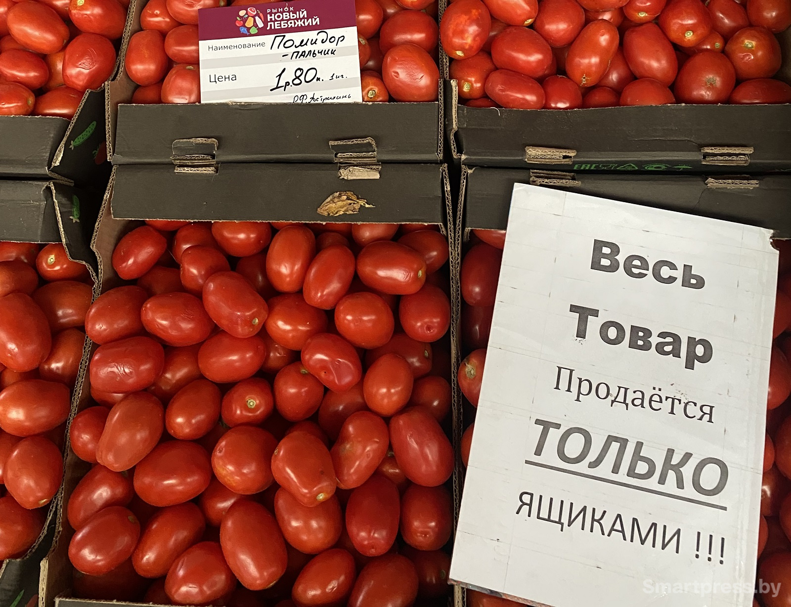 помидоры по 1,8 рэ ящиками