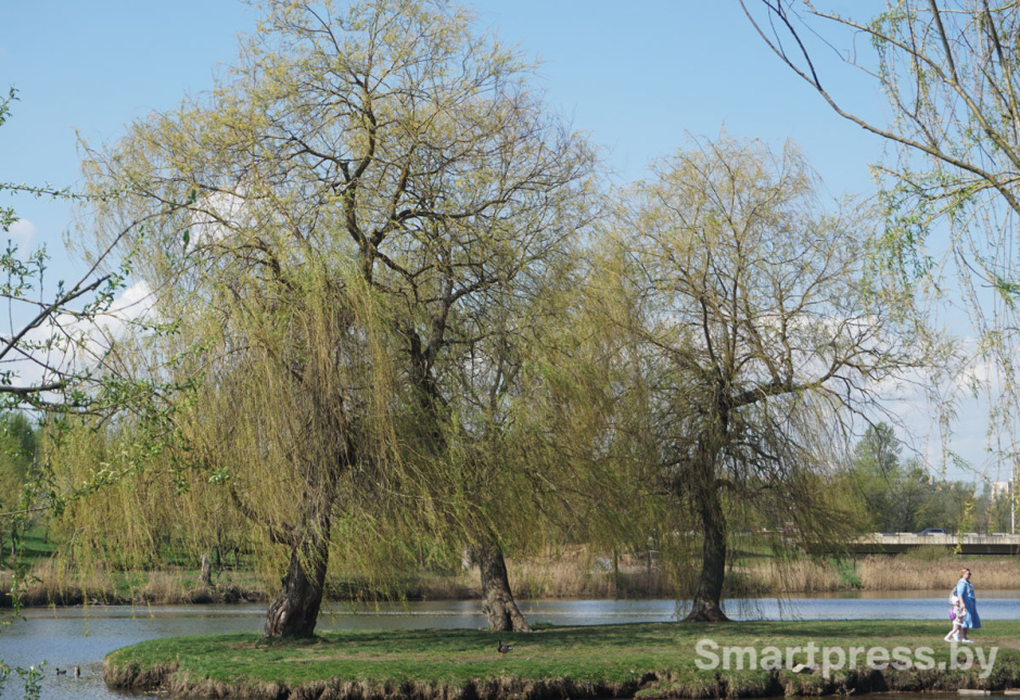 лошицкий_парк4.jpg