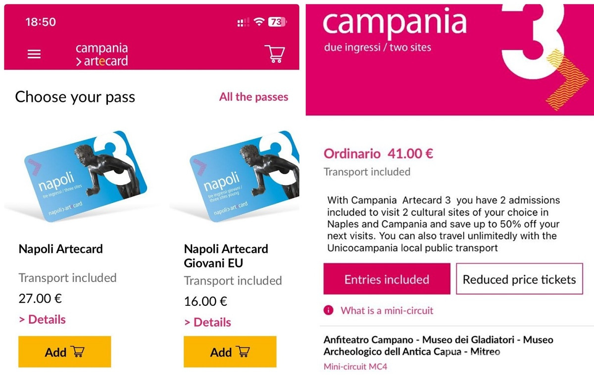 проездной билет