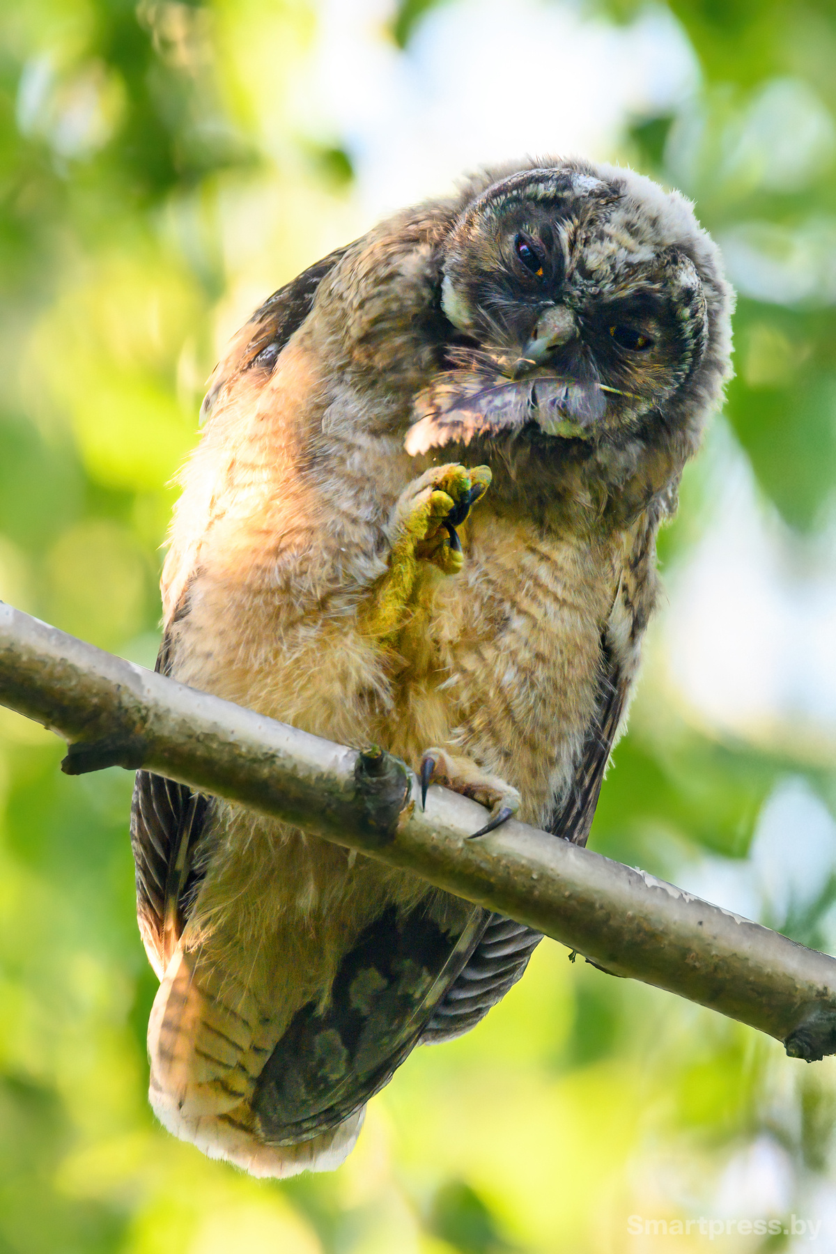 Здравствуйте! Здравствуйте!