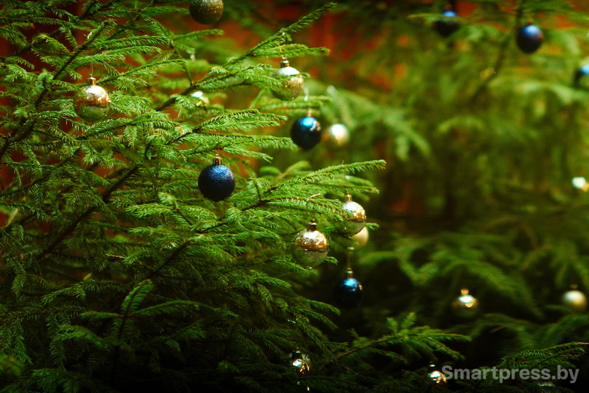 Новый год в Минске-2026