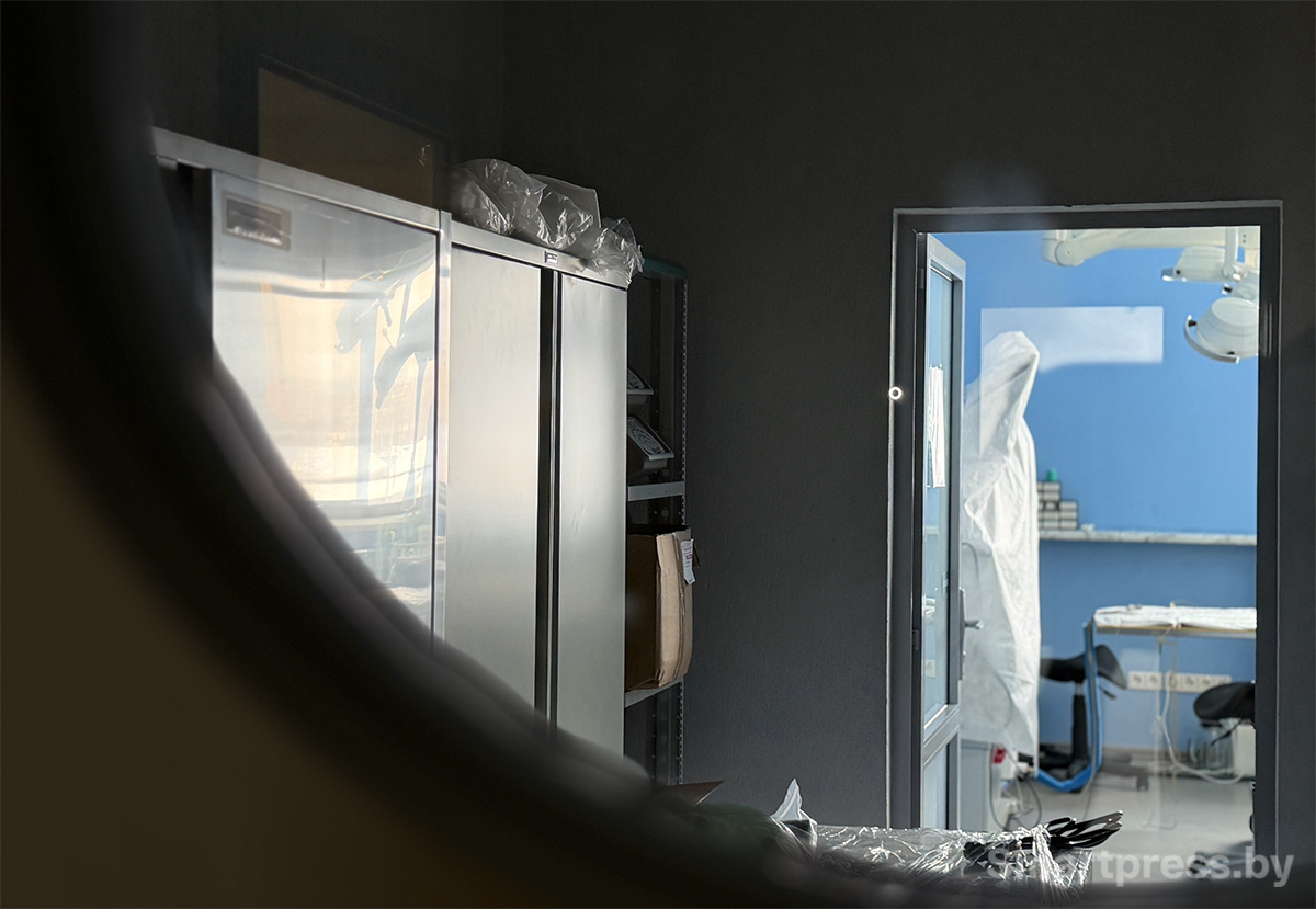 Ветеринарная клиника 9 жизней Минск