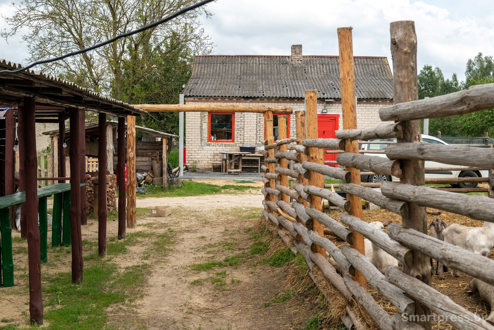 20-Козья ферма в деревне Высокое.jpg