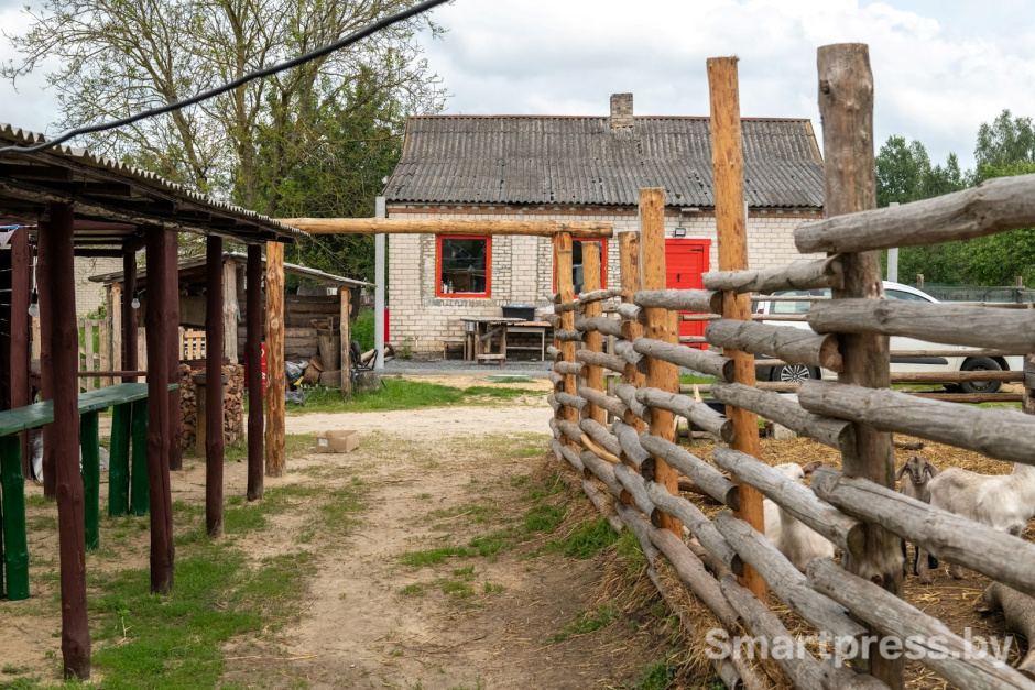20-Козья ферма в деревне Высокое.jpg