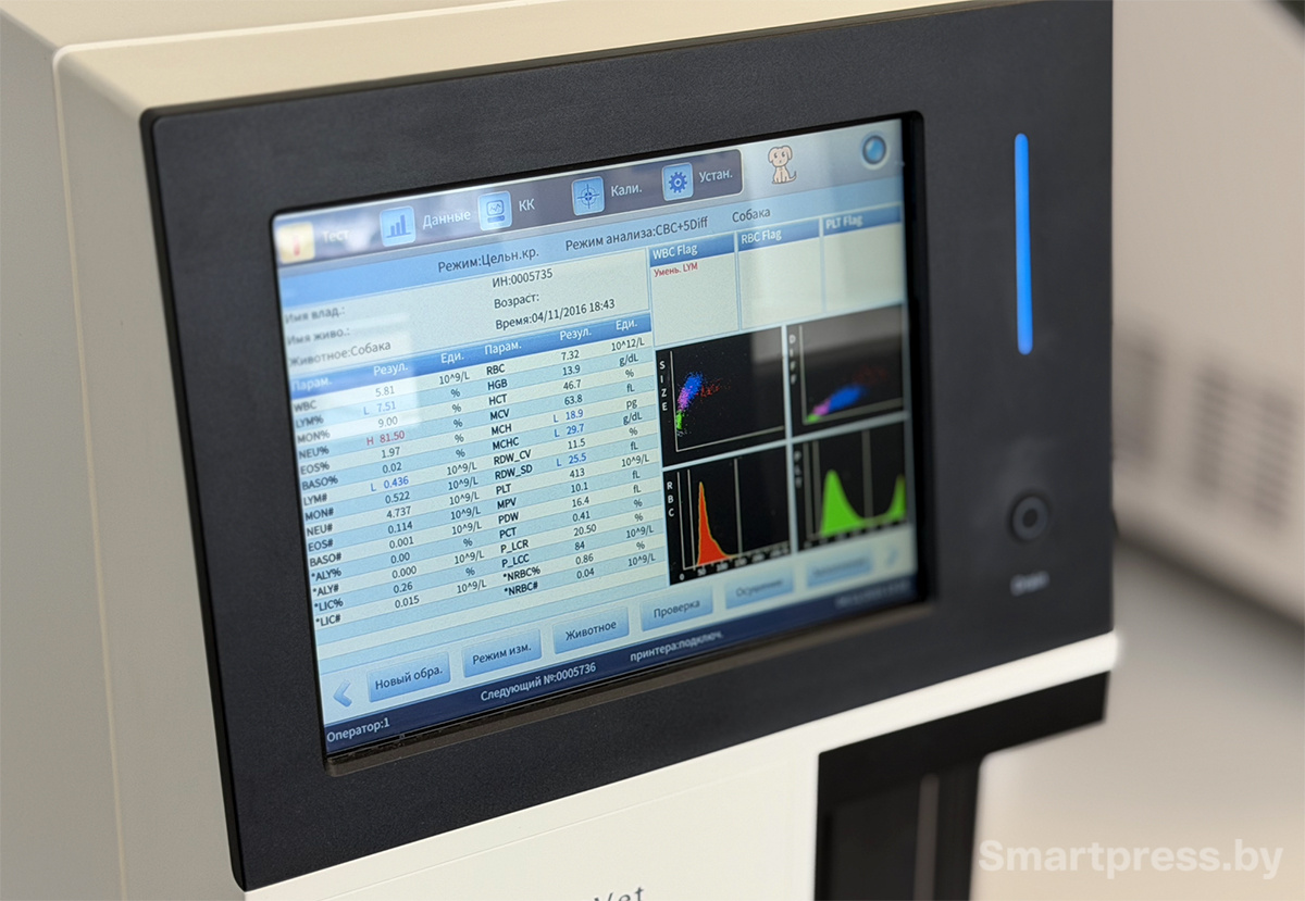 Ветеринарная клиника 9 жизней Минск
