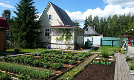 Правительство Беларуси ввело льготные тарифы на электричество для этих дачников. Какие условия?