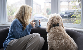 В Минске заставят платить налог эту категорию белорусов