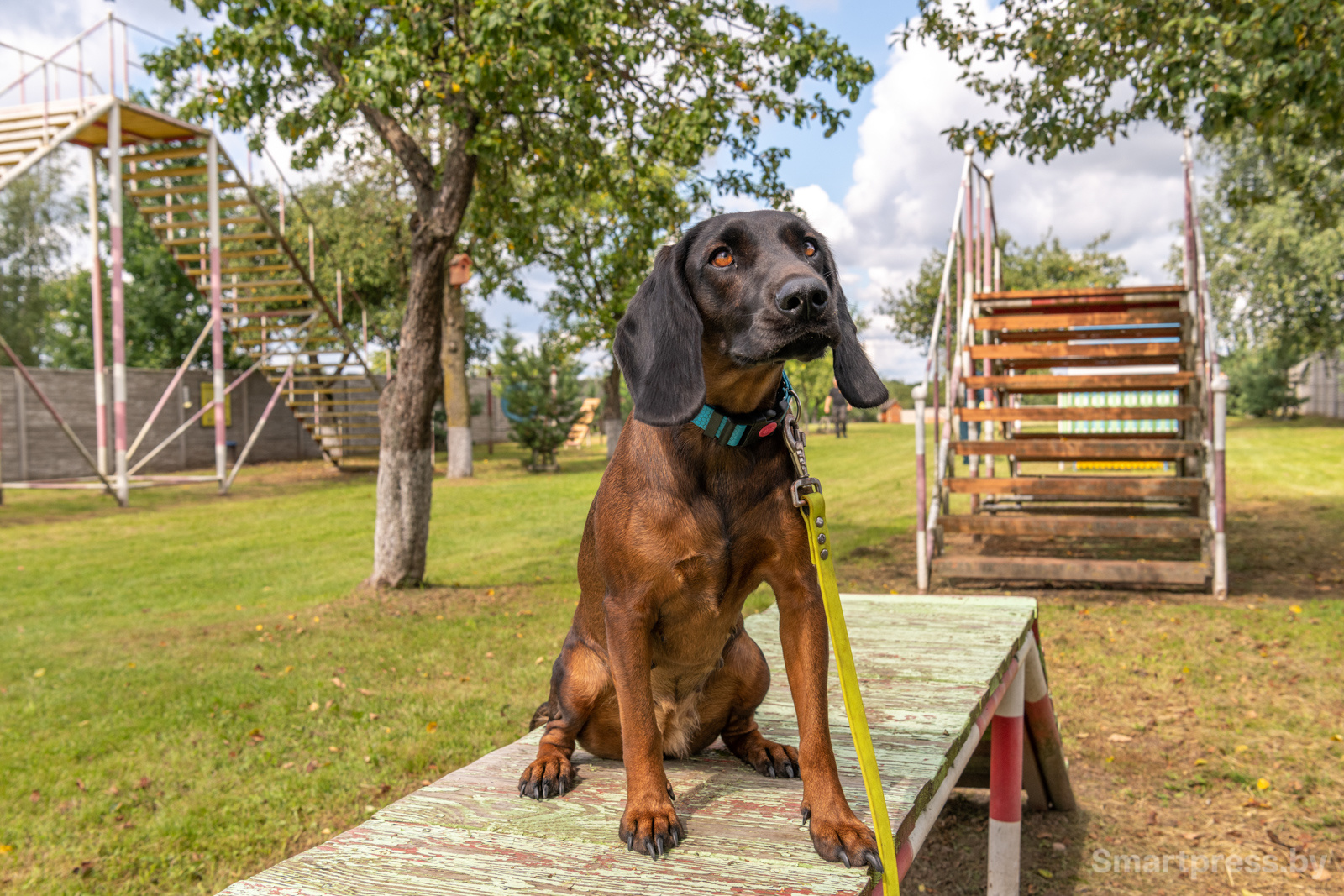 Кинологический центр "Из Кифы"