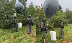 Сейм Литвы ужесточил наказание за контрабанду по воздуху: тюрьма грозит даже за одну пачку сигарет