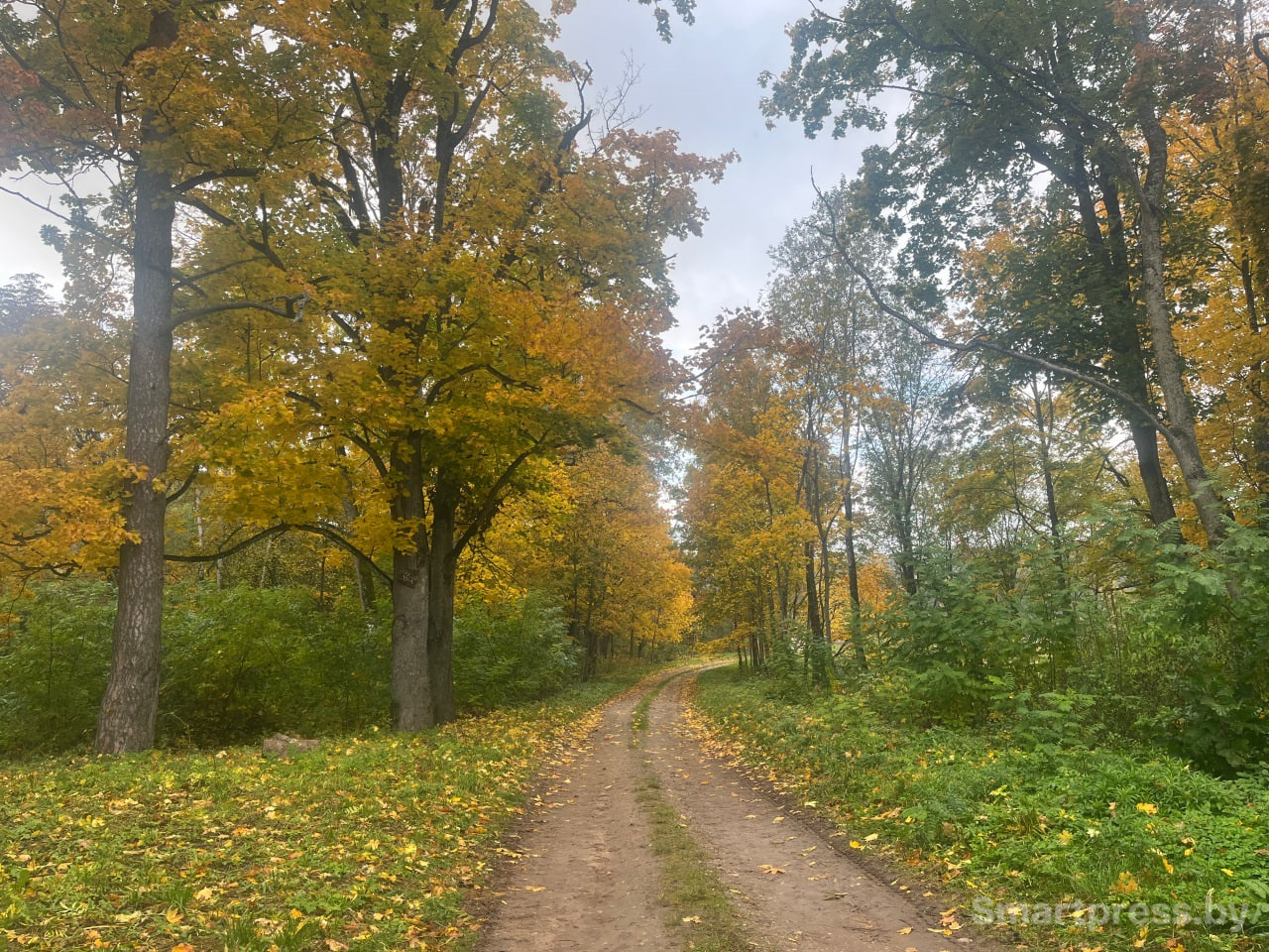 дорога к часовне