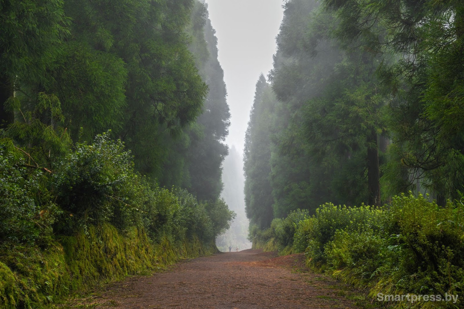 11-Остров Сан-Мигел.jpg