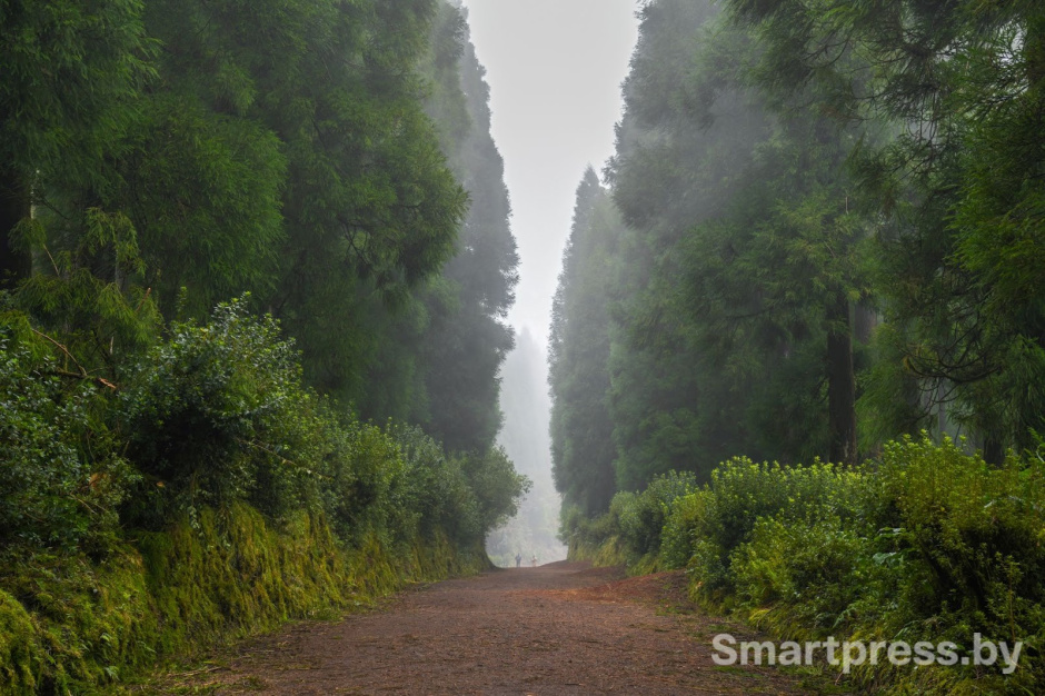 11-Остров Сан-Мигел.jpg