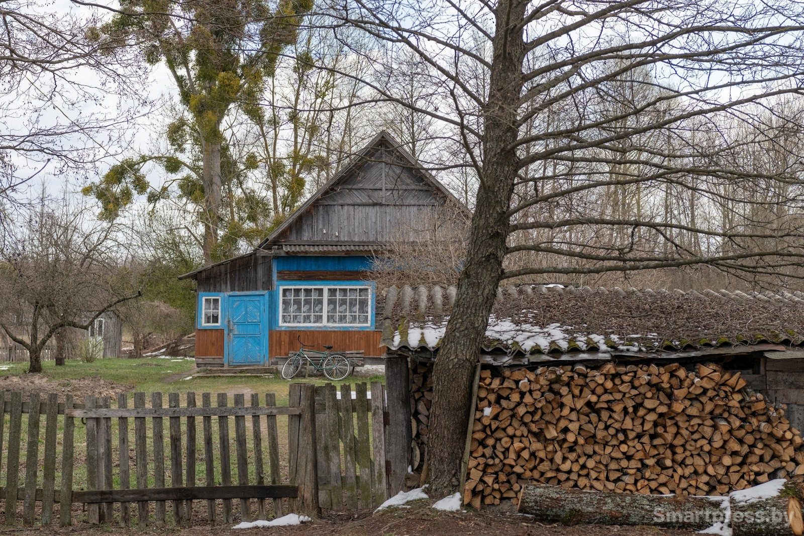 Дом Веры Колесо в деревне Ситница.jpg