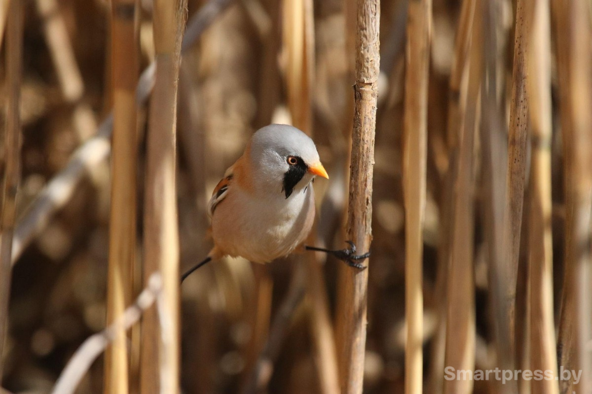 8-Время засекай! Фото Дмитрия Конева.jpg