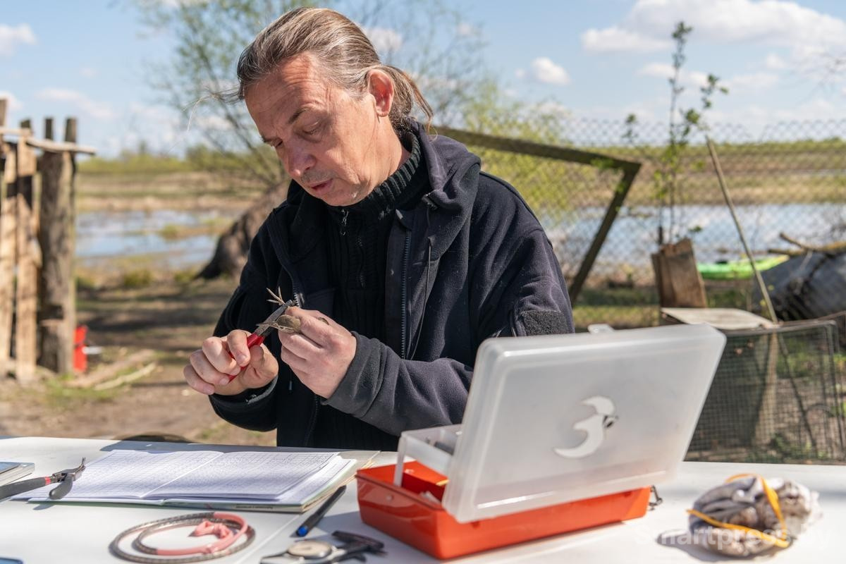 22-Павел Пинчук кольцует птицу.jpg
