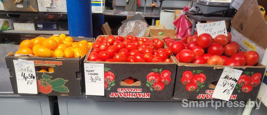 Томаты на Комаровке