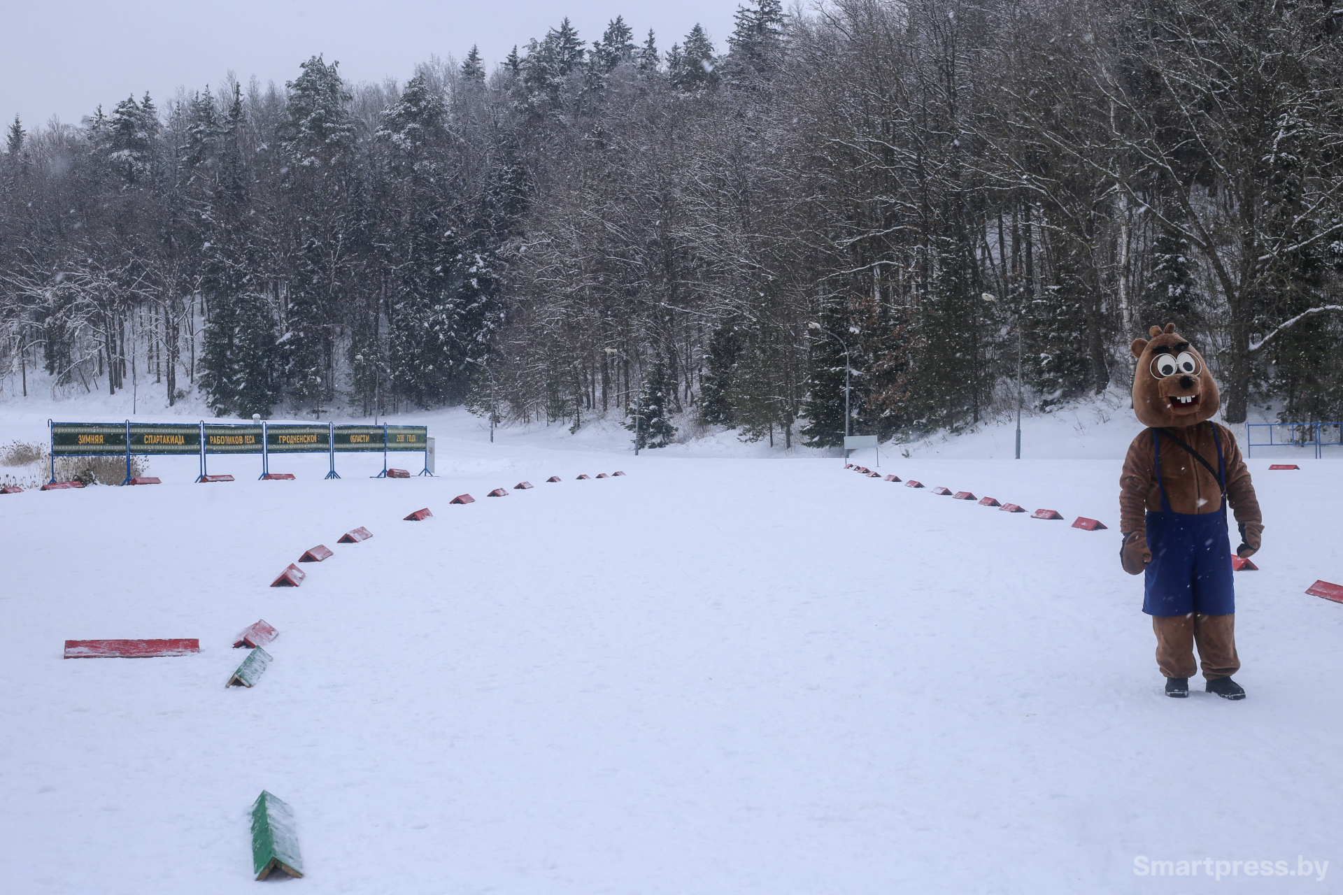 Новогрудчина