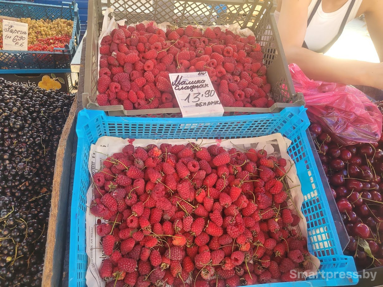 малина малина