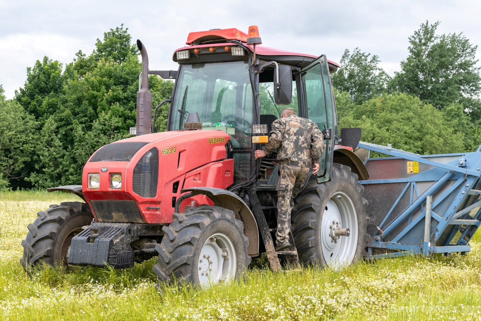 12-Трактор собирает ромашку в деревне Пищалово.jpg
