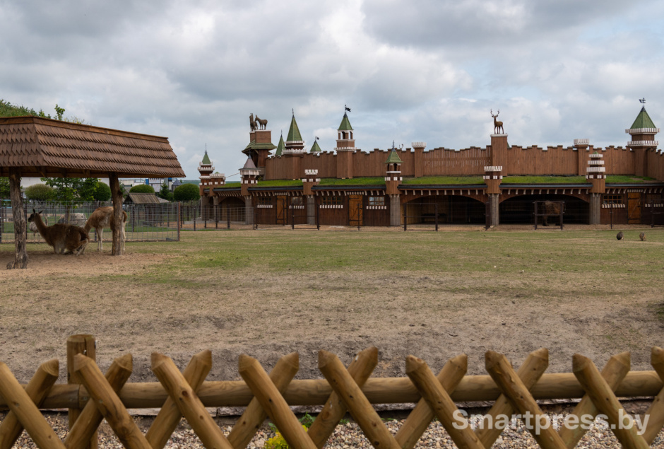 В Парке животных появился замок.jpg