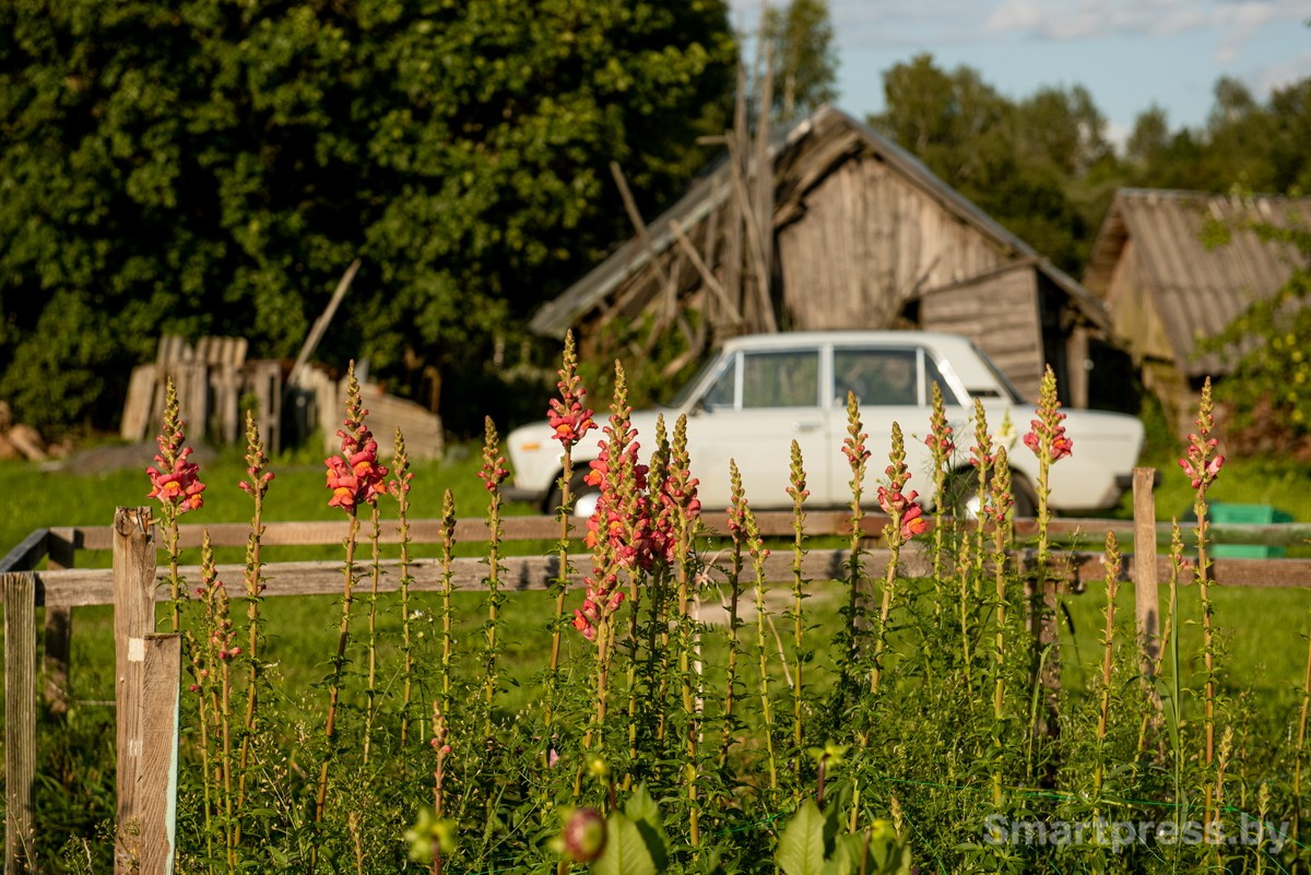 5-Дом в деревне Заречное.jpg