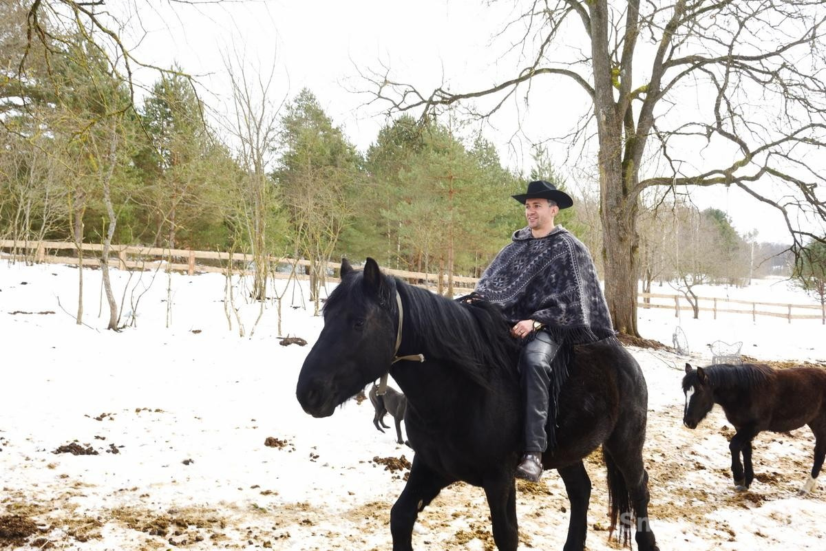 3-На хуторе вместе с Фредди жили три лошади две собаки и кролики.jpg