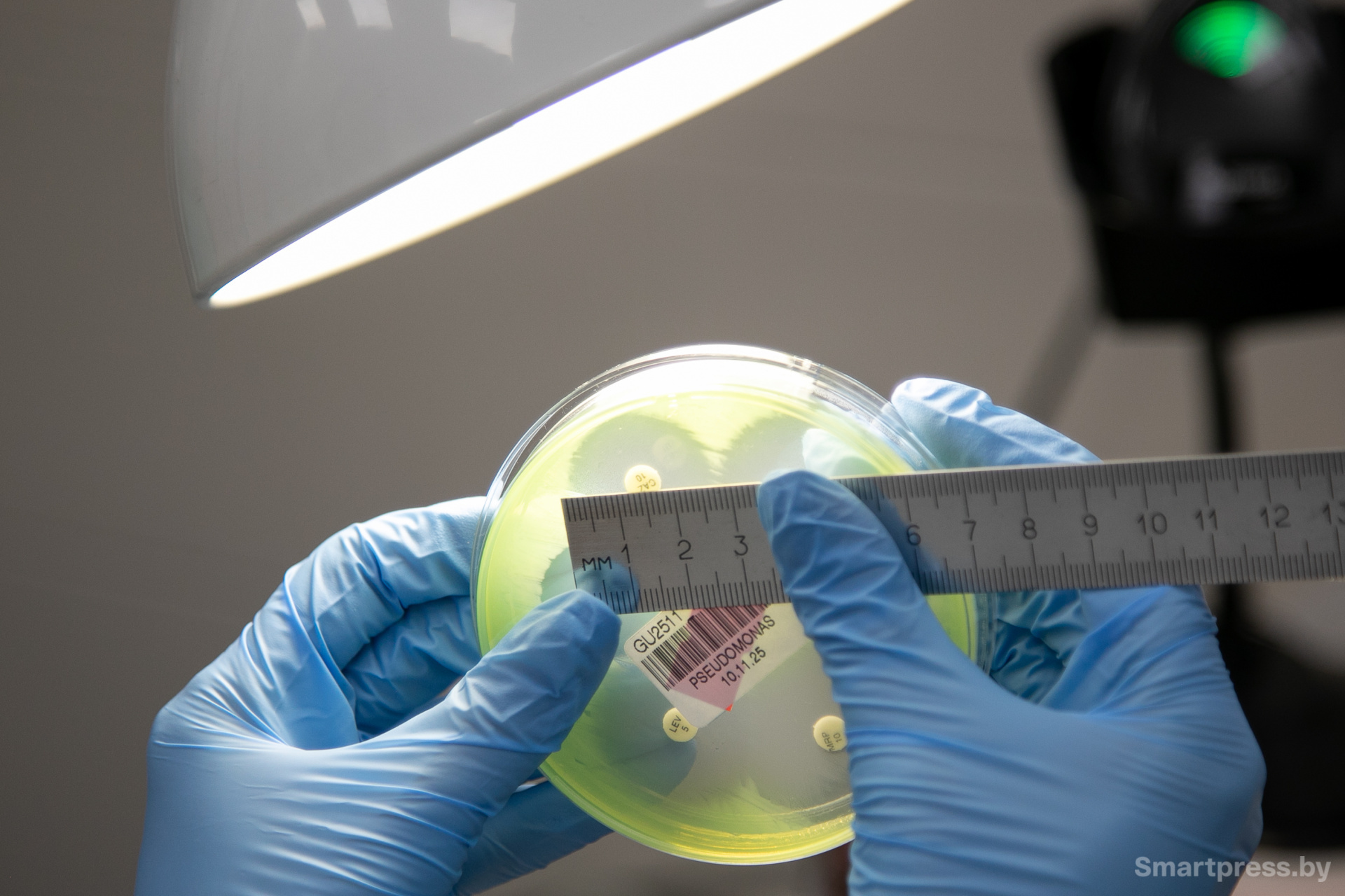 Проверка образца