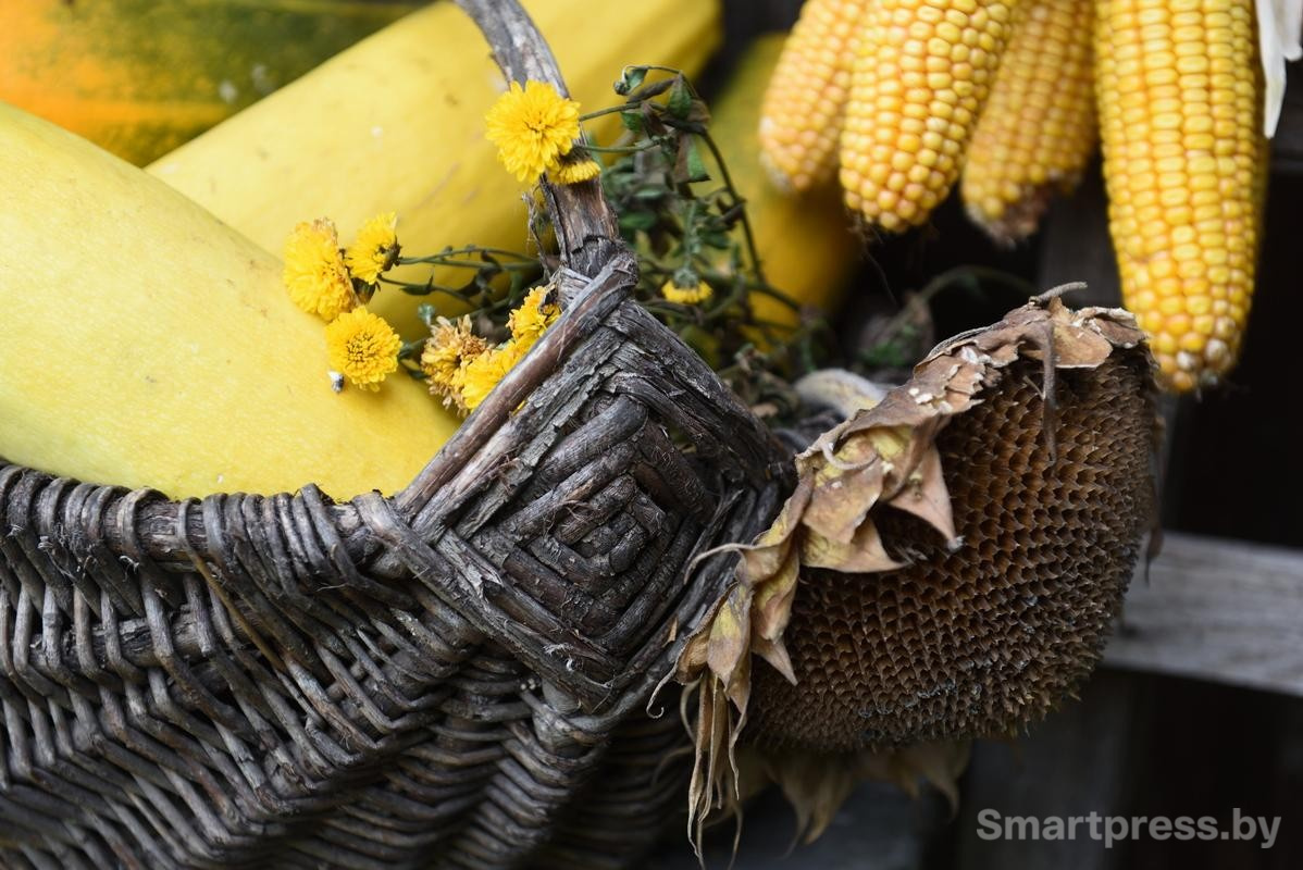 24-Убранство на участке семьи Гущенсковых.jpg