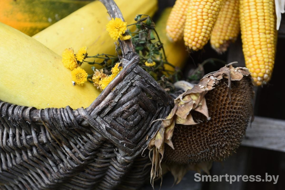 24-Убранство на участке семьи Гущенсковых.jpg