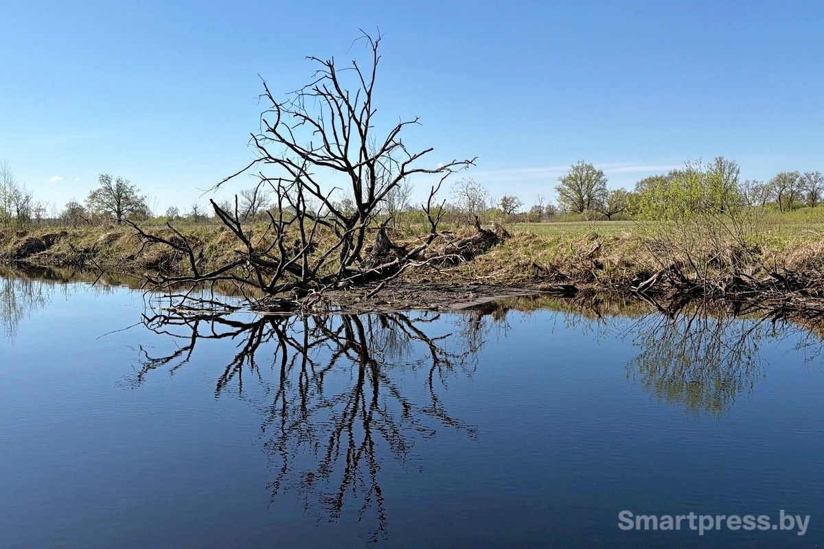 18-Разливы Припяти.jpg