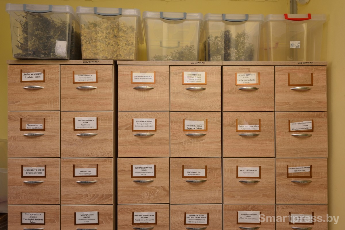 Хранилище сушеных растений.jpg