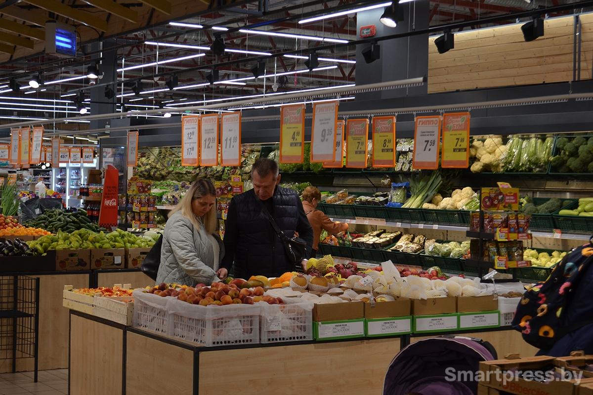 Prolife в ГИППО