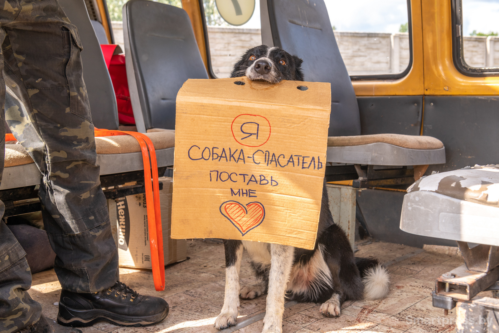 Кинологический центр "Из Кифы"