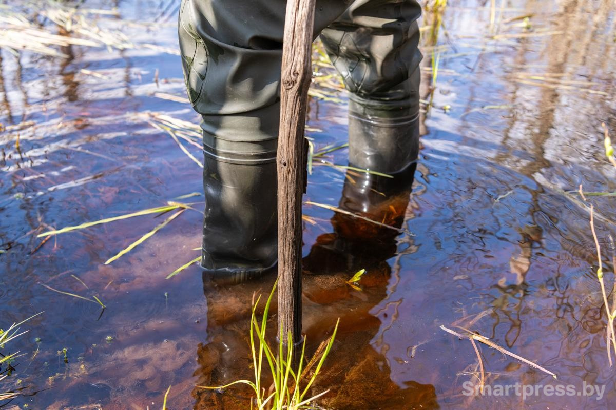 14-Как только опускаешь ноги в воду их засасывает грязь.jpg