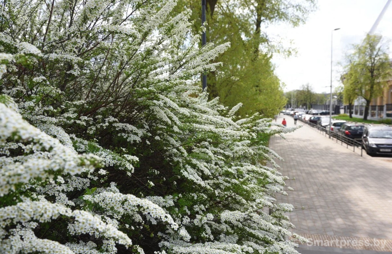 Апрельская погода в городе.jpg